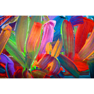 Tableau design plumo  Tableau plexiglas