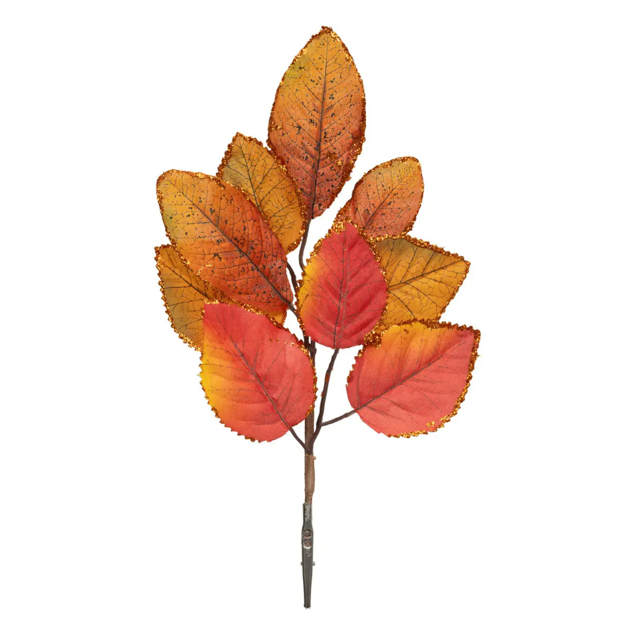 Branche de feuilles de magnolia automne sur pince