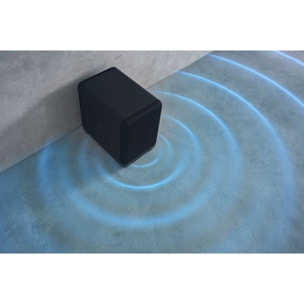 Caisson de basse SONY SASW5