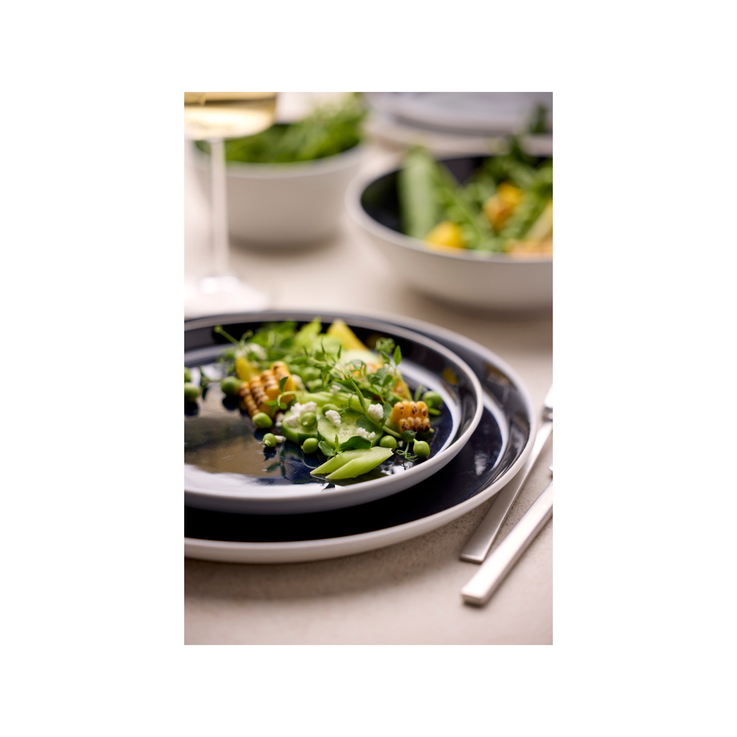 Assiette Gastro