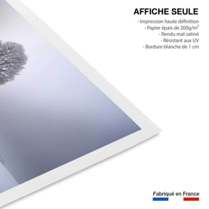Affiche paysage Lumière d' hiver Affiche seule
