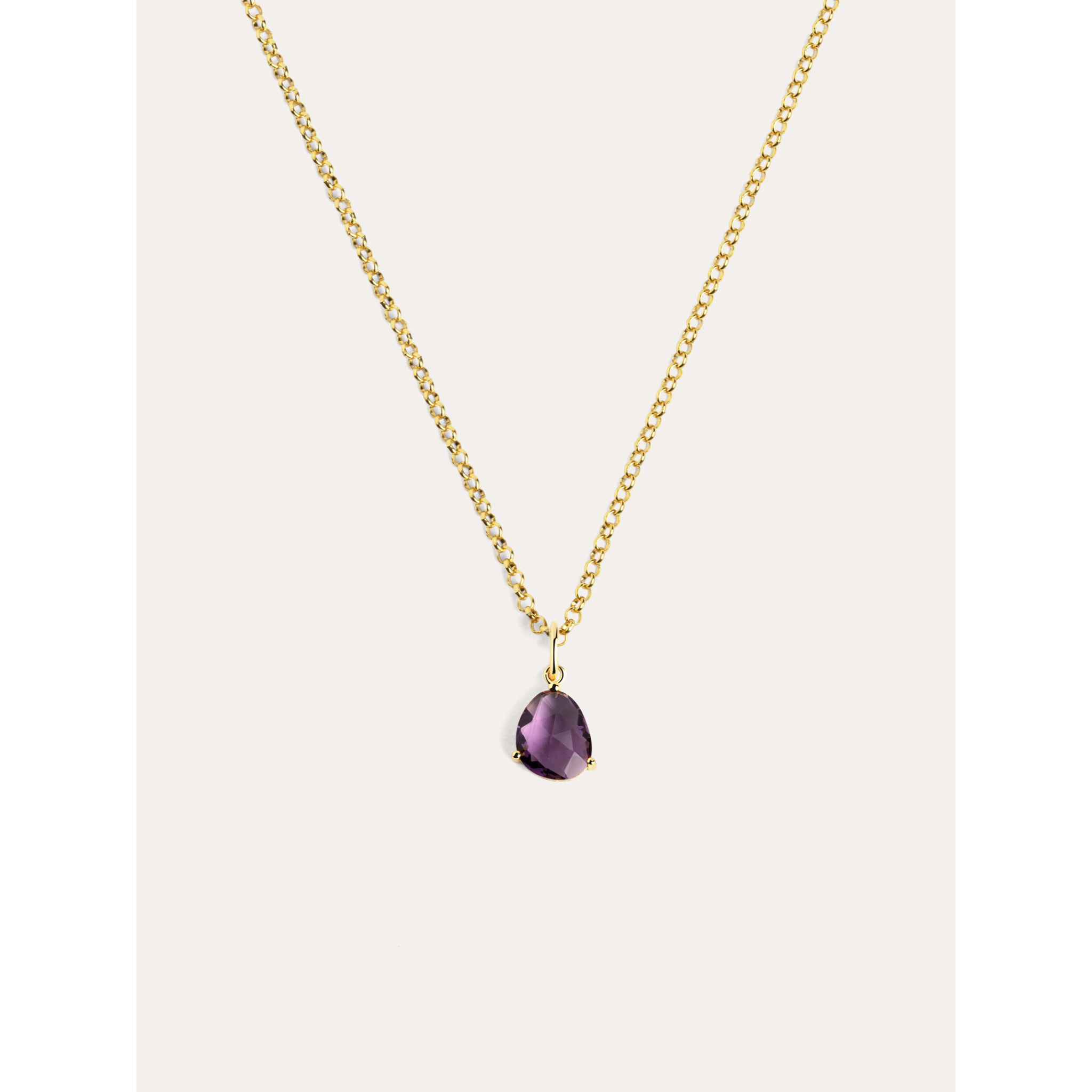 Collana placcata Oro Argento con ametista Birthstone