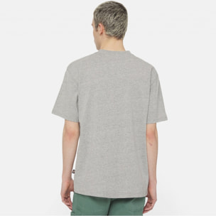 CAMISETA DICKIES LURAY POCKET TEE SS