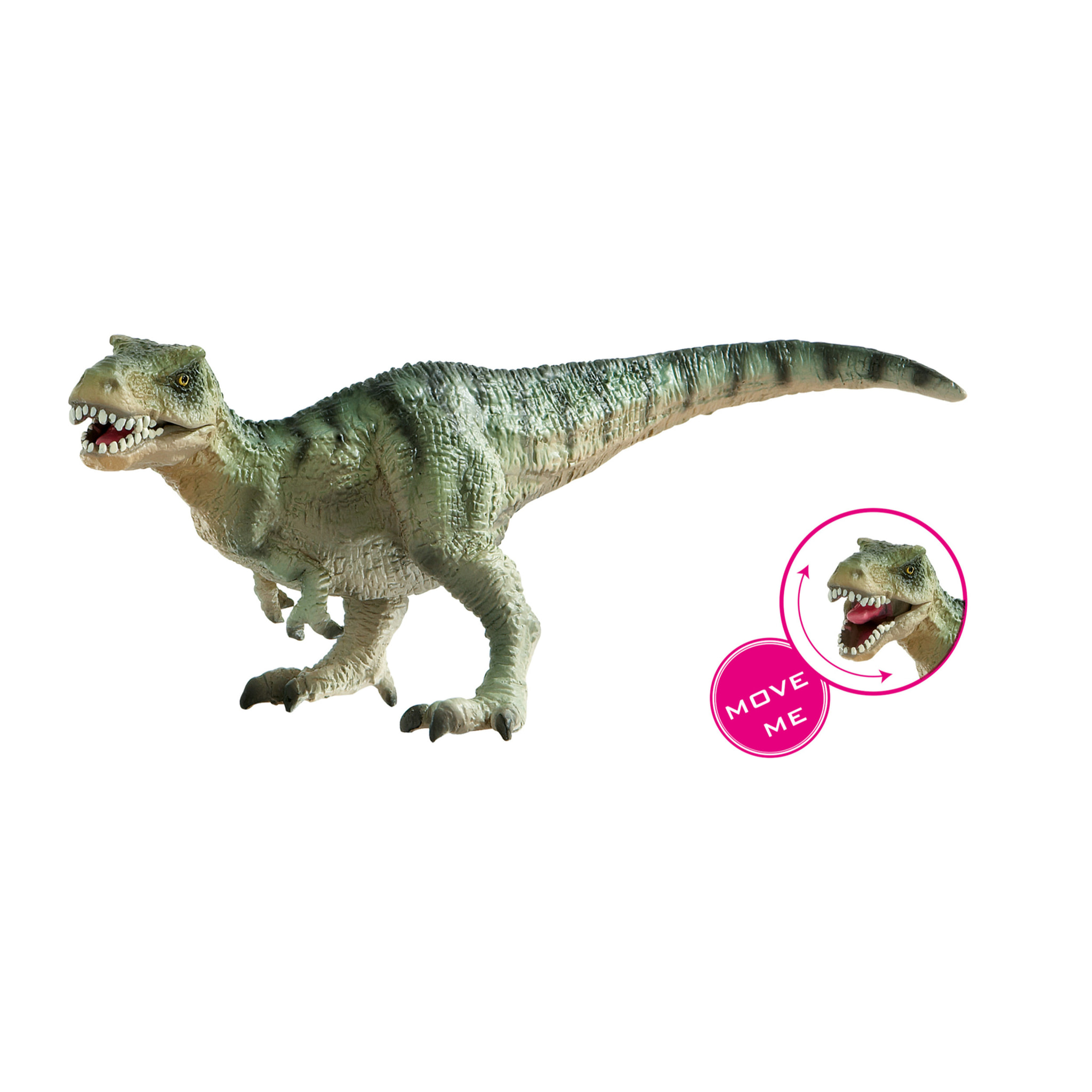 Dinosauri/Tirannosauro Medio Linea Museo Naturale