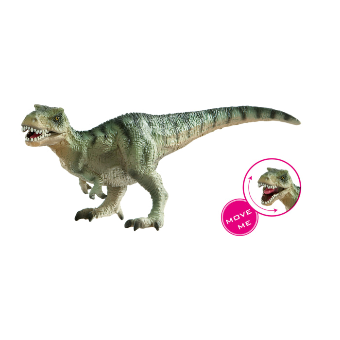 Dinosauri/Tirannosauro Medio Linea Museo Naturale
