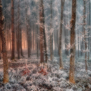 Affiche paysage de glace et de feu Affiche + cadre en bois - Chêne