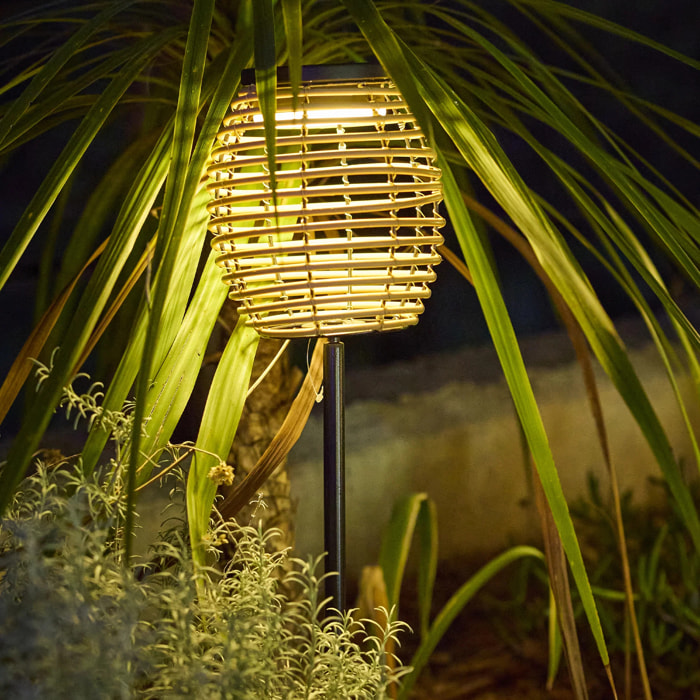 2 Balise solaire à piquer BAVINA H72CM