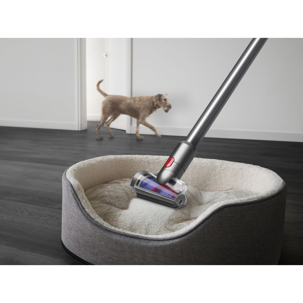 Aspirateur Balai Sans Fil  Dyson V15 Detect™ Absolute