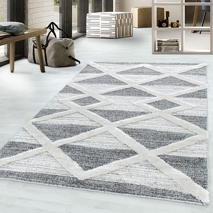 PISA - Tapis de salon à motif moderne gris - PIS4709GRI