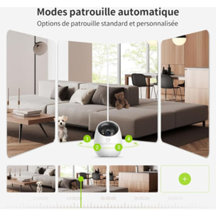 Caméra de surveillance EZVIZ D210 2K