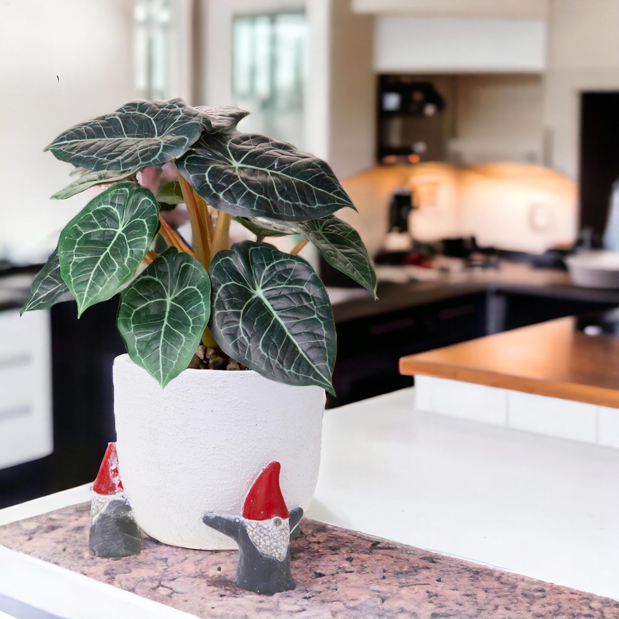 Cachepot con Elfi - Pezzi 4 - 16,5xH14x16,5cm - Bianchi Dino SpA