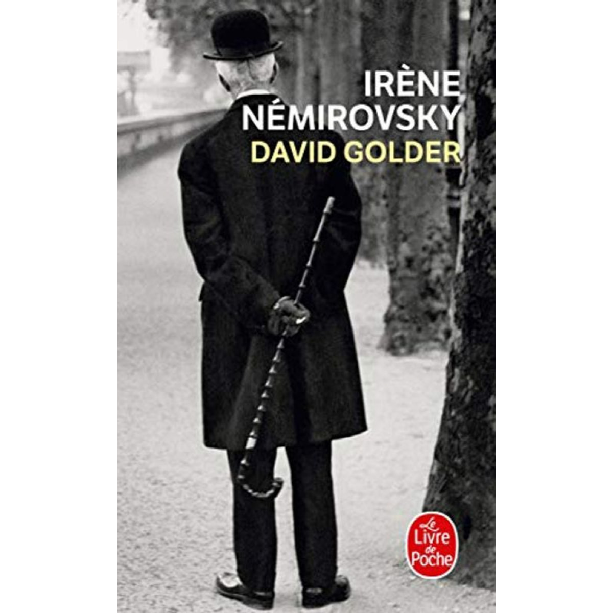 Irène Nemirovsky | David Golder | Livre d'occasion