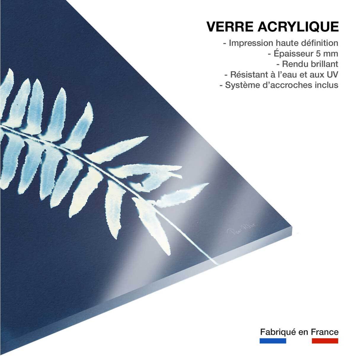 Tableau fleurs Fougère bleue Tableau plexiglas