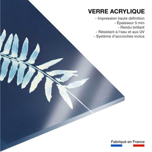 Tableau fleurs Fougère bleue Tableau plexiglas