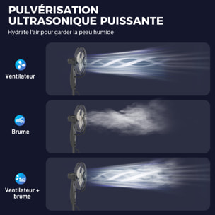 Ventilateur brumisateur oscillant inclinable 75W sur pied H.120 cm réservoir 3,2L avec télécommande noir