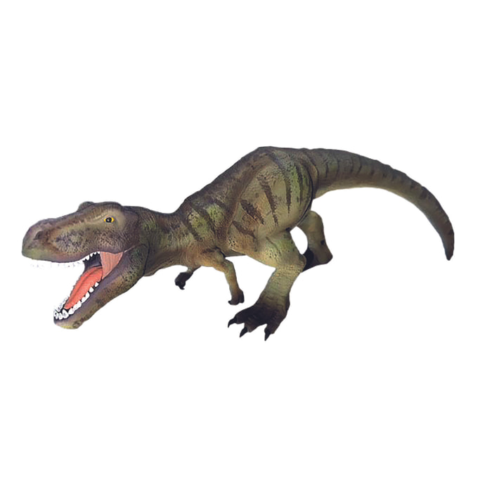 Dinosauri/Tirannosauro Rex Linea Museo Naturale
