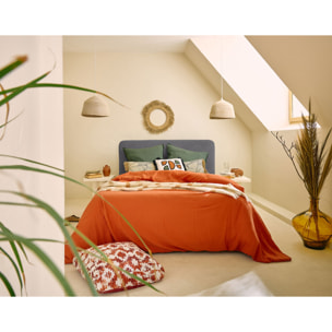 Goyave - lit coffre - 160x200 - en velours côtelé - sommier inclus - Gris Anthracite