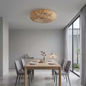 Ventilateur Plafond E27 SOLVIA D48CM
