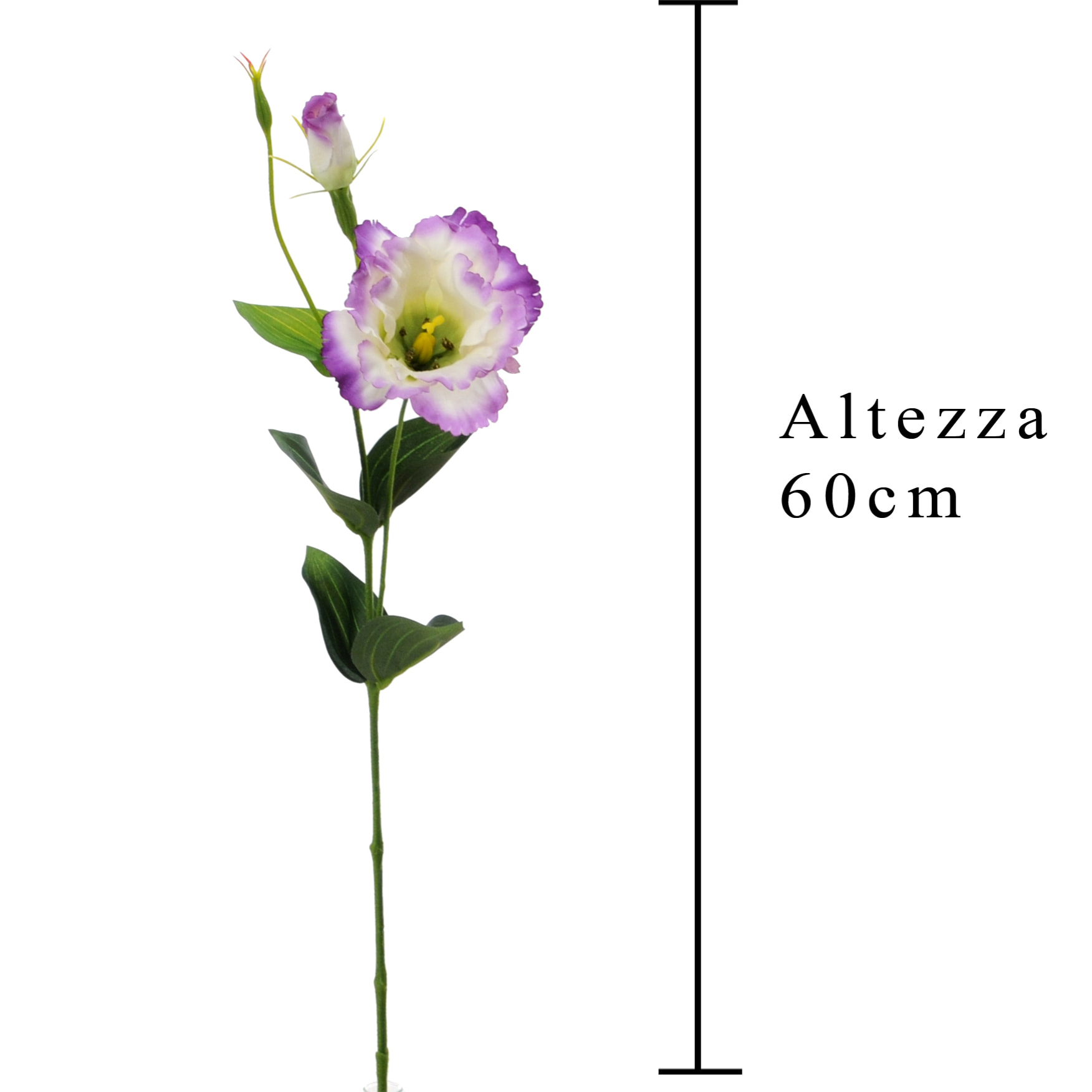 Lisianthus Composto Da 2 Fiori. Altezza 60 Cm - Pezzi 12 - 11,2X60X7,5cm - Colore: Altro - Bianchi Dino - Fiori Artificiali