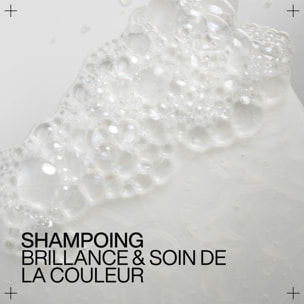 Acidic Color Gloss - Shampoing Doux Pour Cheveux Colorés et ou Méchés Rechargeable