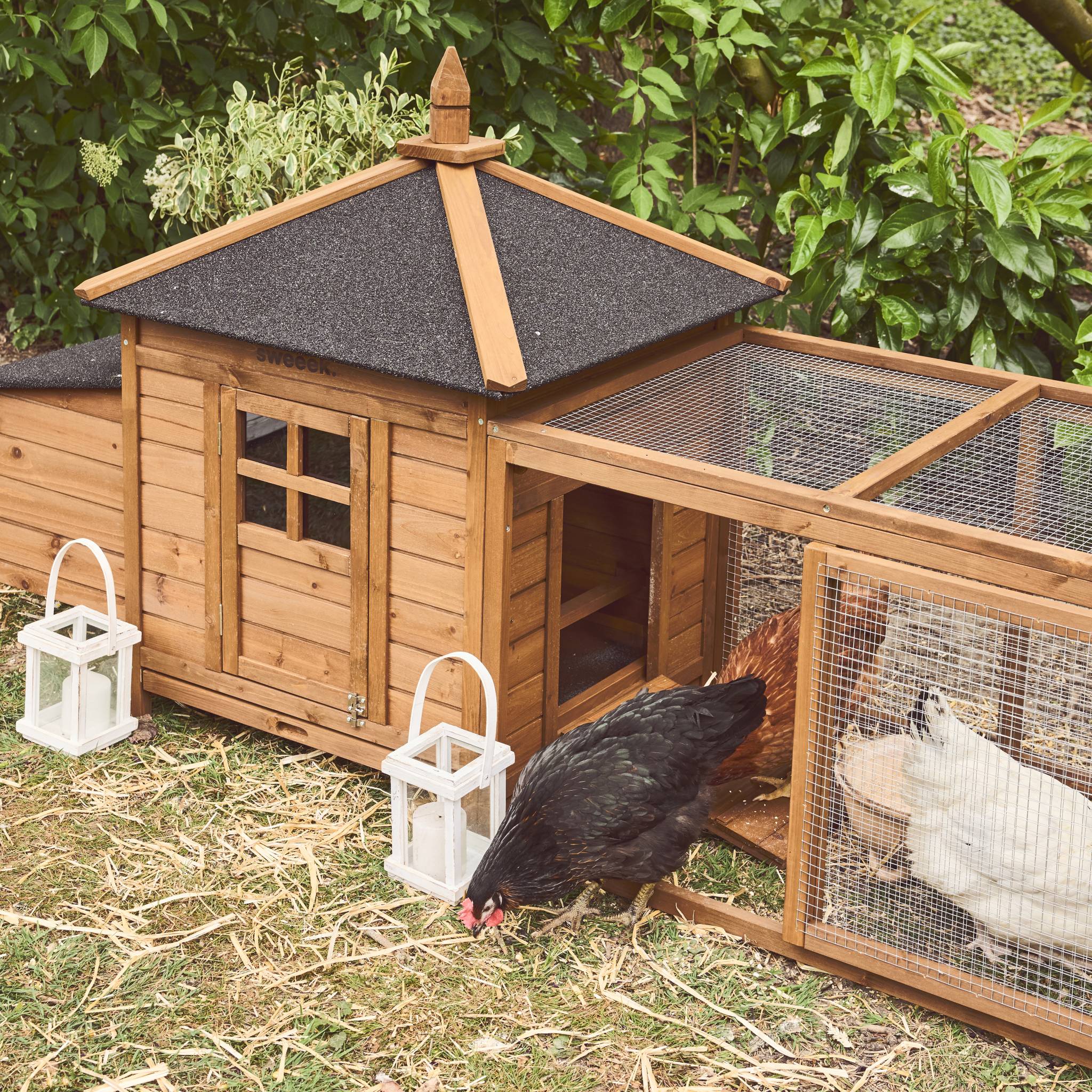 Poulailler en bois JAVA. 4 poules. cage à poule avec enclos