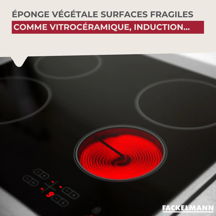 Éponge Végétale Multi-Surfaces fragiles Fackelmann Tecno