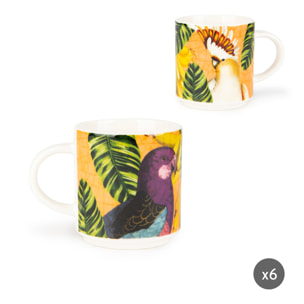 Set 6 Tazze Caffè Excelsa – Havana, New Bone China Multicolore