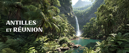 Antilles et Réunion