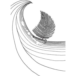 Tableau voilier fougeres Tableau plexiglas