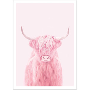 Affiche - Highland cow - Paul Fuentes