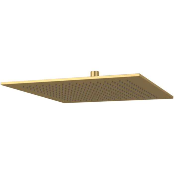 Douche de tête 350 Universal rectangle Brushed Gold