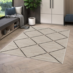 Tapis extérieur tissé kilim rectangle JARU