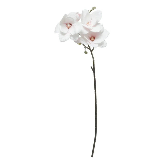 Branche Magnolia rose H88cm