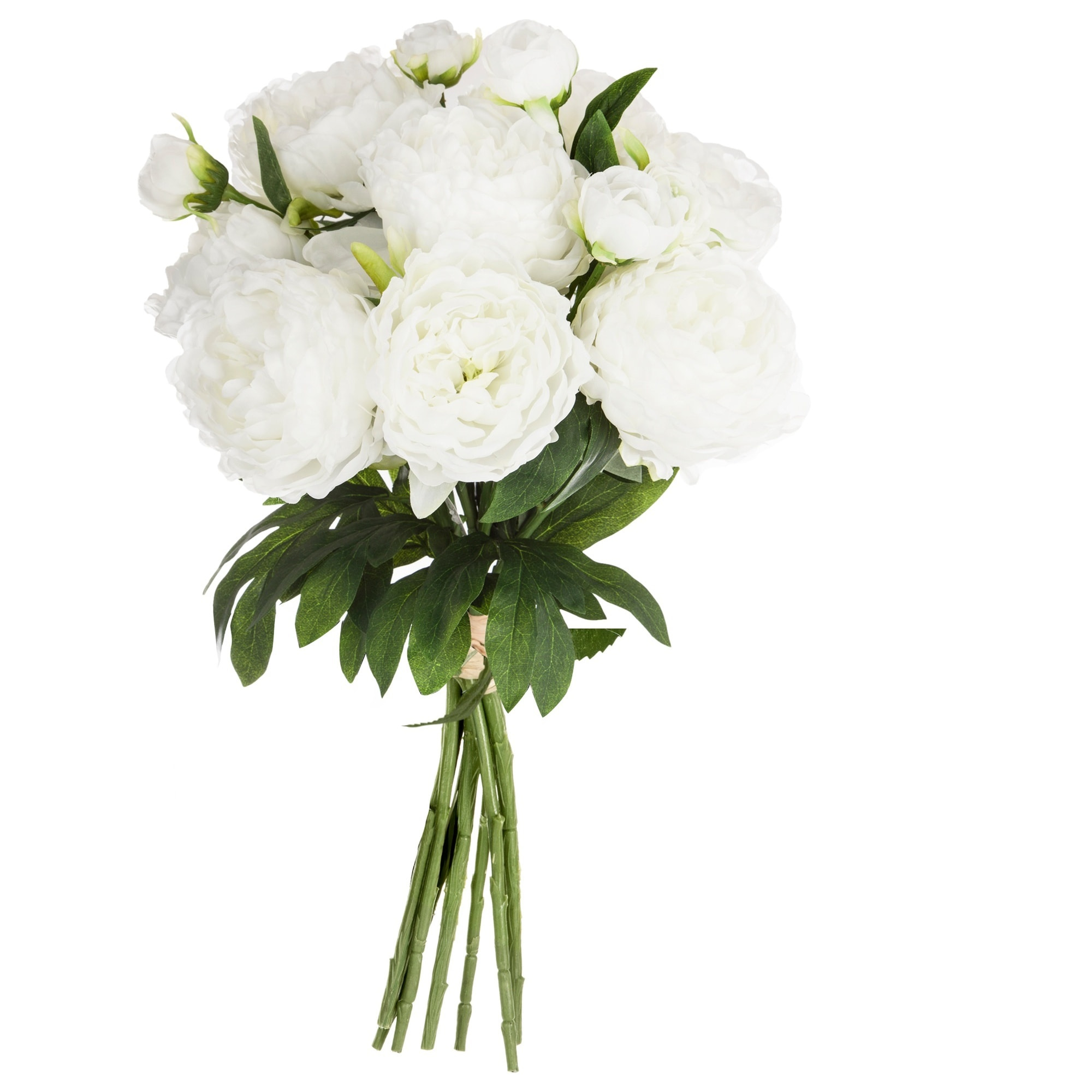 Ramo de 13 peonías blancas h50