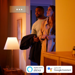 Lampe connectée PHILIPS HUE W&C Iris Blanc