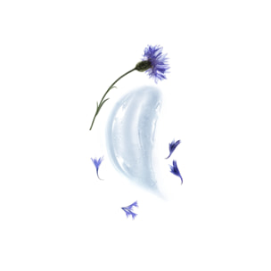 Crème de jour - Eau de Bleuet Bio - Peaux sèches - 50 ml