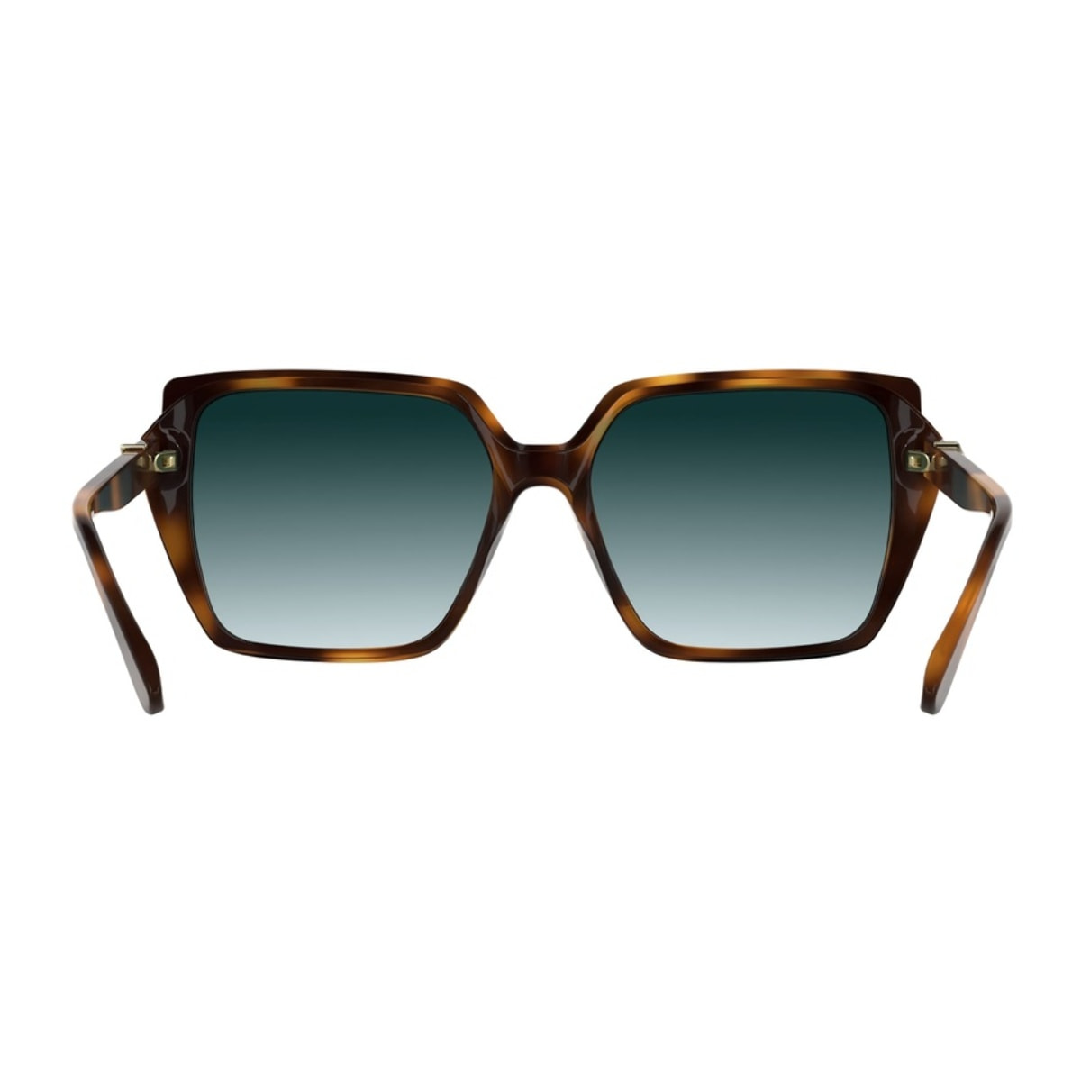 Gafas de Sol Karl Lagerfeld KL6244S 240 de Acetato Mujer 55 mm