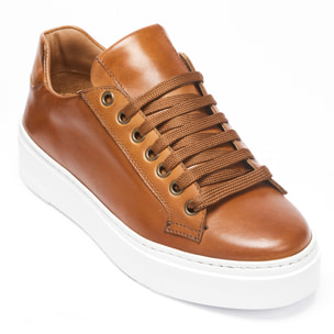 Classic Lace-up Sneaker British Passport Marrone