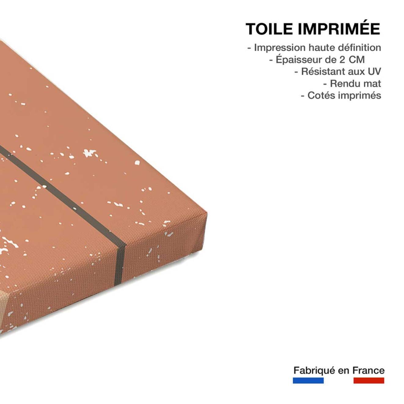 Tableau Art organique Terracotta - 50x80cm - made in France Toile imprimée