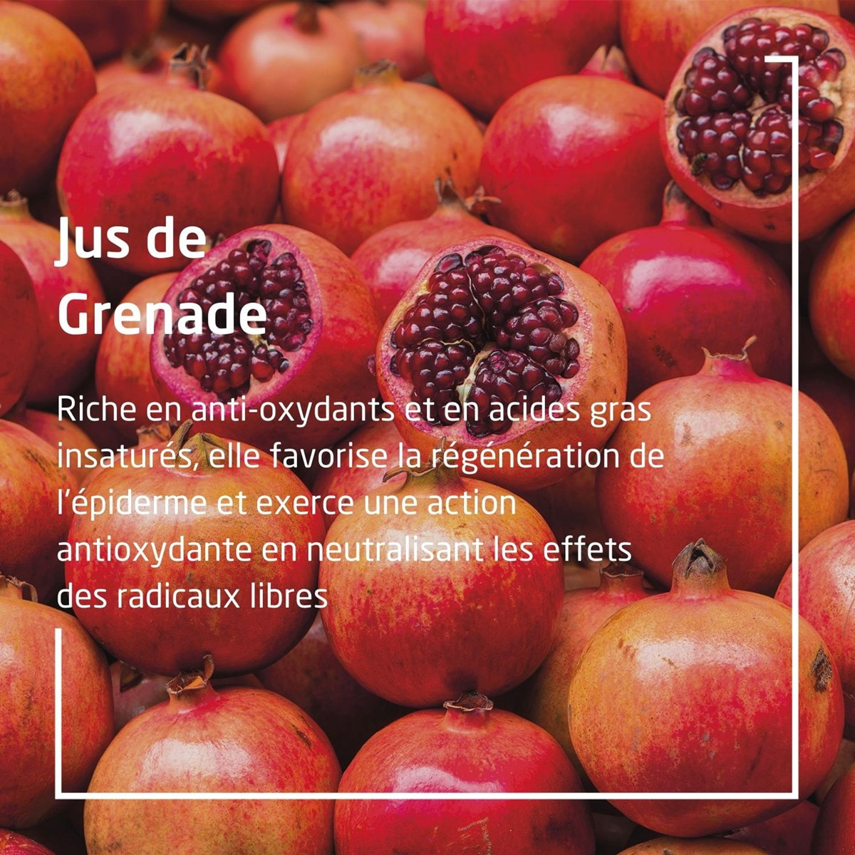WELEDA - Trio Déodorant roll-on 24H Grenade - 100 % d'origine naturelle - Vegan* - Certifié Natrue** - Roll-on 50 ml x 3