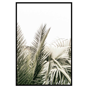 Affiche encadrée feuillage tropical chic Affiche + cadre en métal - Noir