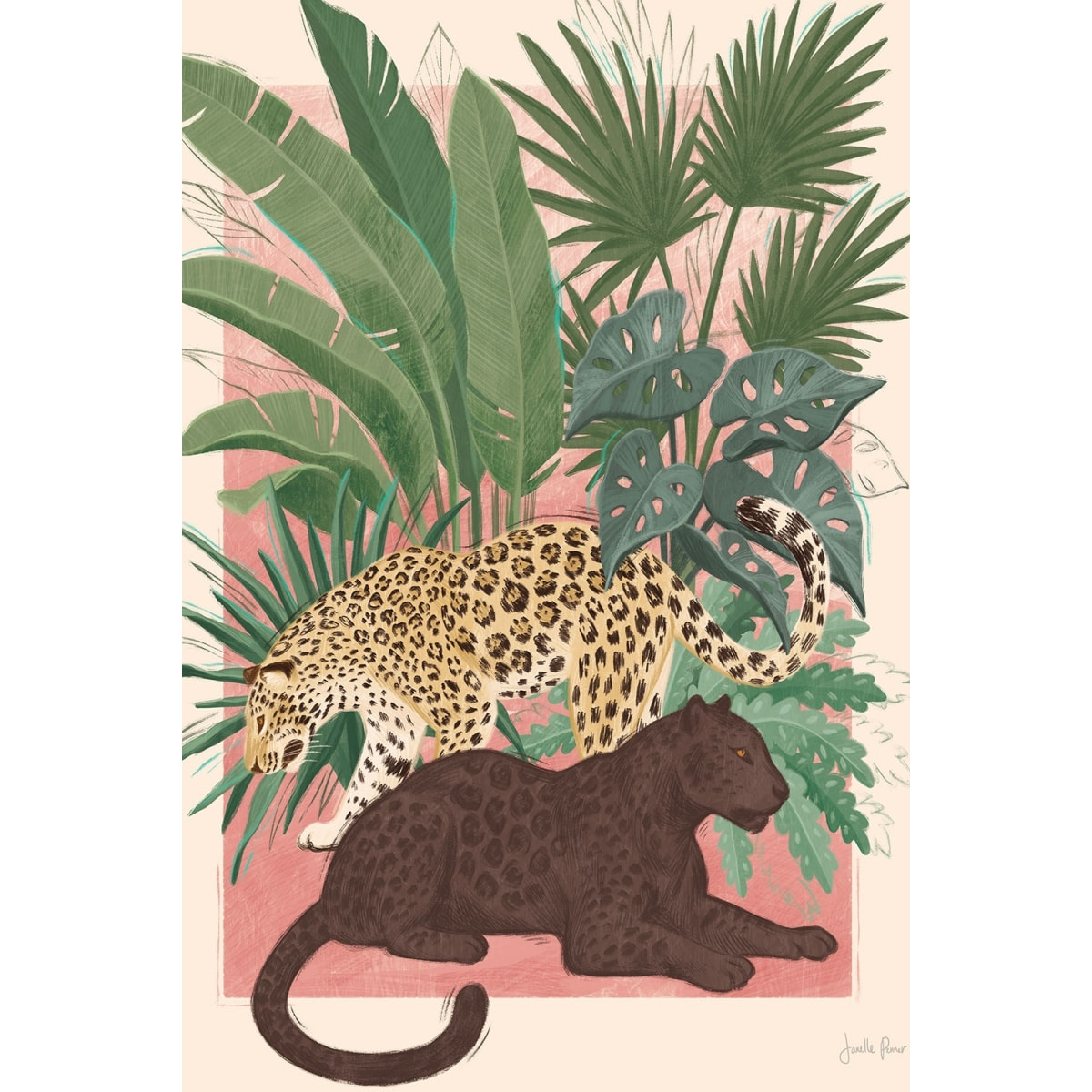 Tableau Panthers Tableau plexiglas