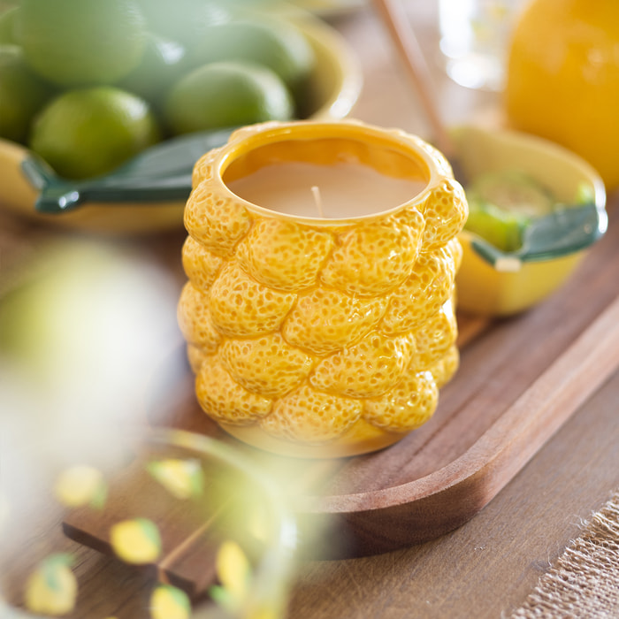 Bougie parfumée Yucatan 330g pot céramique agrumes