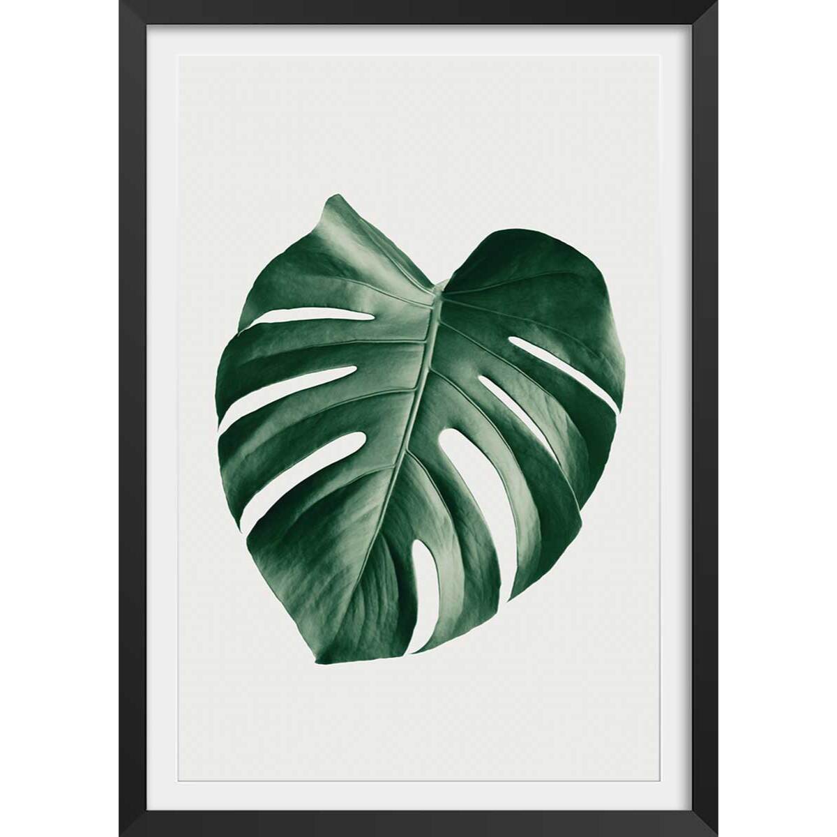 Affiche  monstera perfect Affiche + cadre en bois - Noir