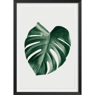 Affiche  monstera perfect Affiche + cadre en bois - Noir
