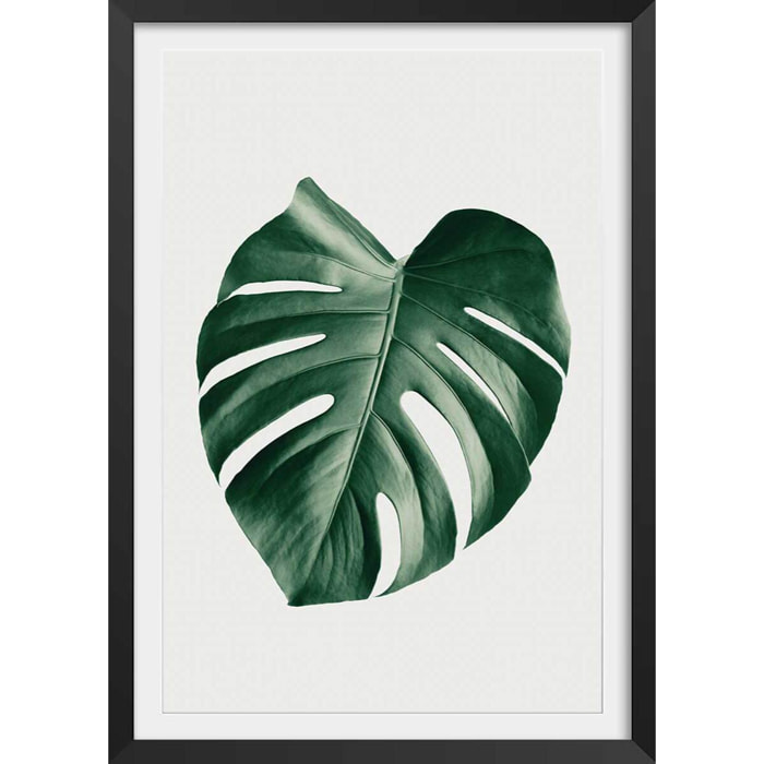 Affiche  monstera perfect Affiche + cadre en bois - Noir