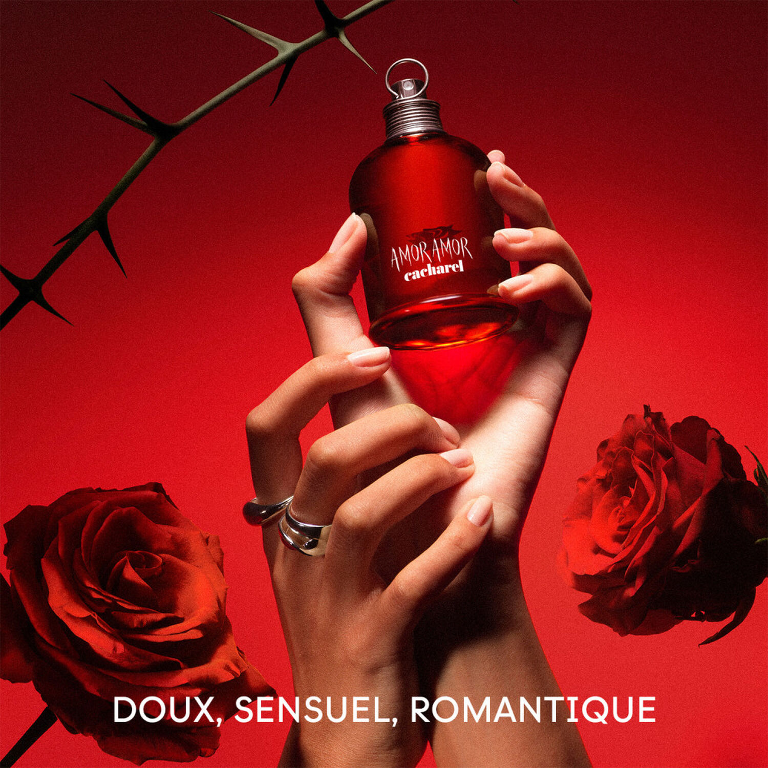 Amor Amor  - Eau de Toilette