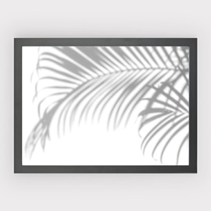 Poster Palm Shadow