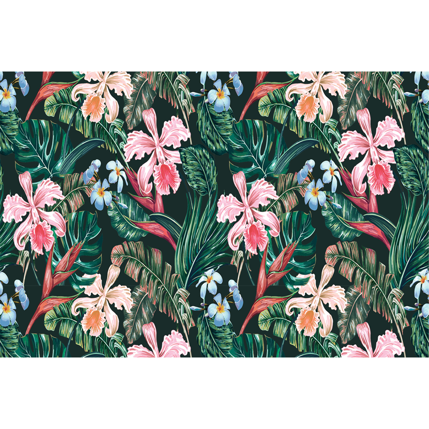 Sticker meuble tropical kwok 60 x 90 cm