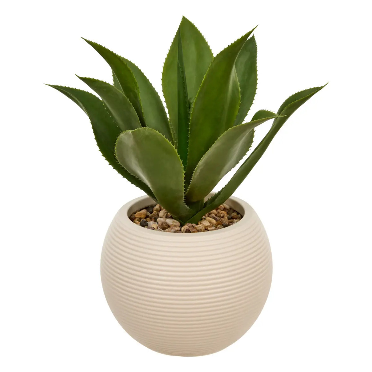 AGAVE POT PL BLC POSA H51